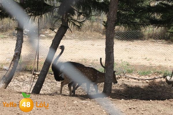 re7la mo2asaasa 0521 (32).JPG